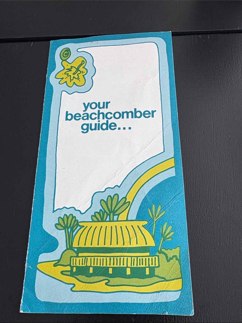 Beachcomber Guide Pocket Booklet - Teal & Yellow